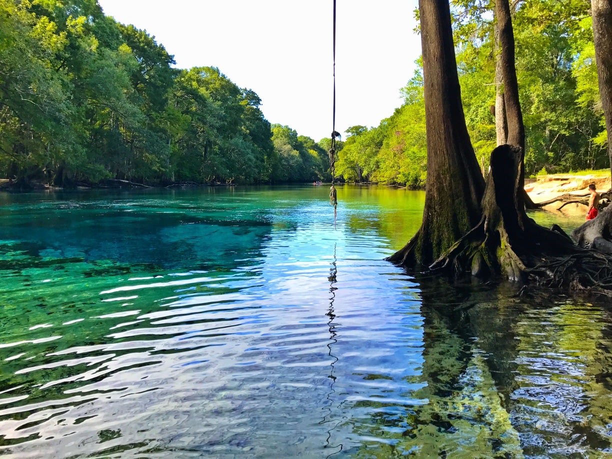 Cypress Springs Adventure Florida